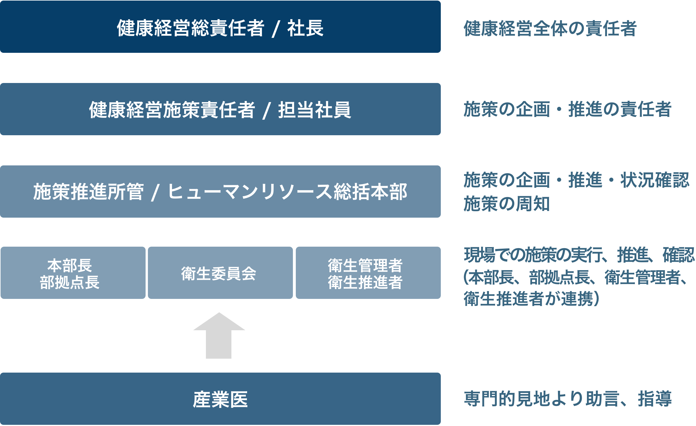 健康経営推進体制図